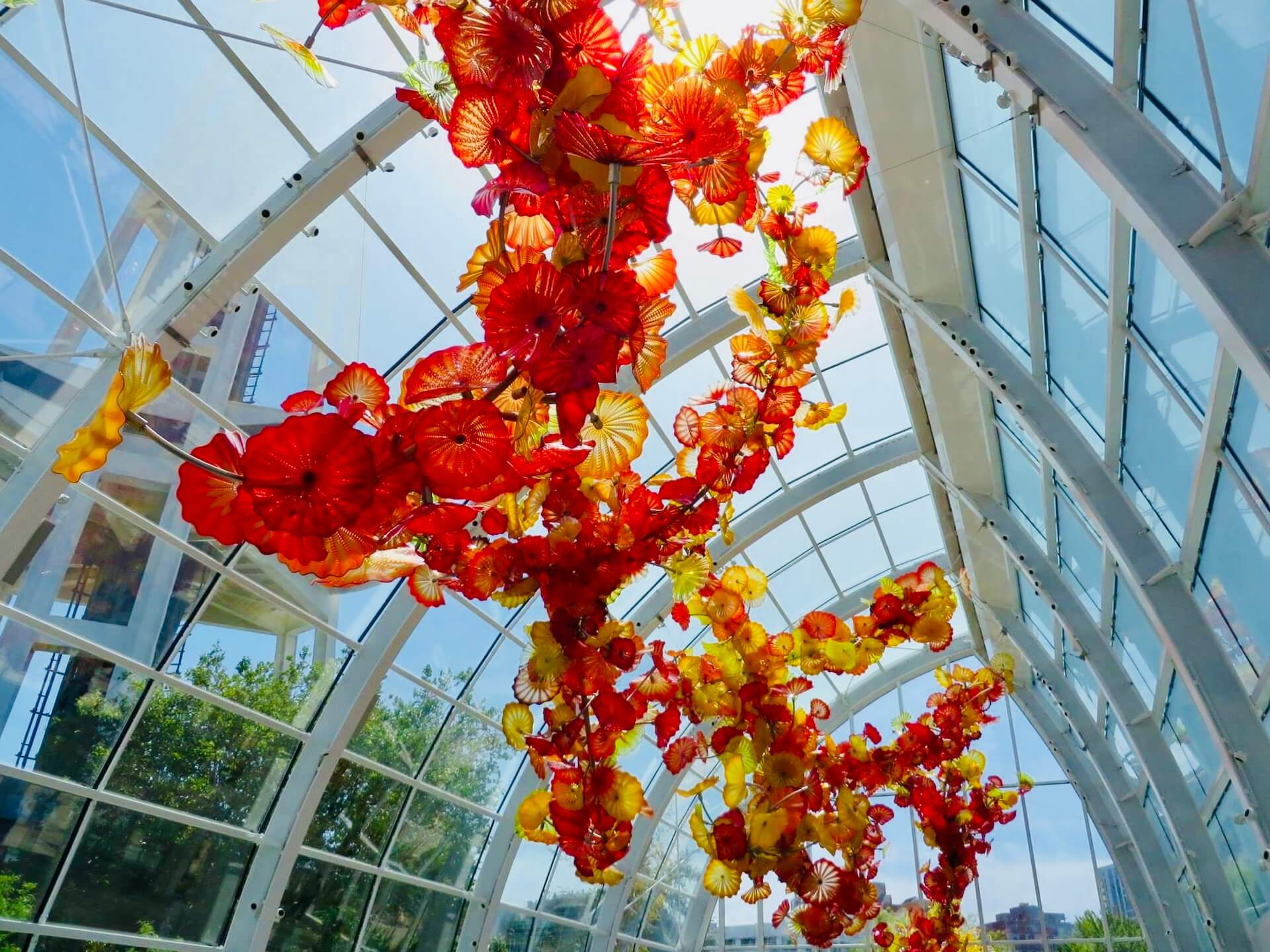 Red chihuly glass ceiling seattle museum