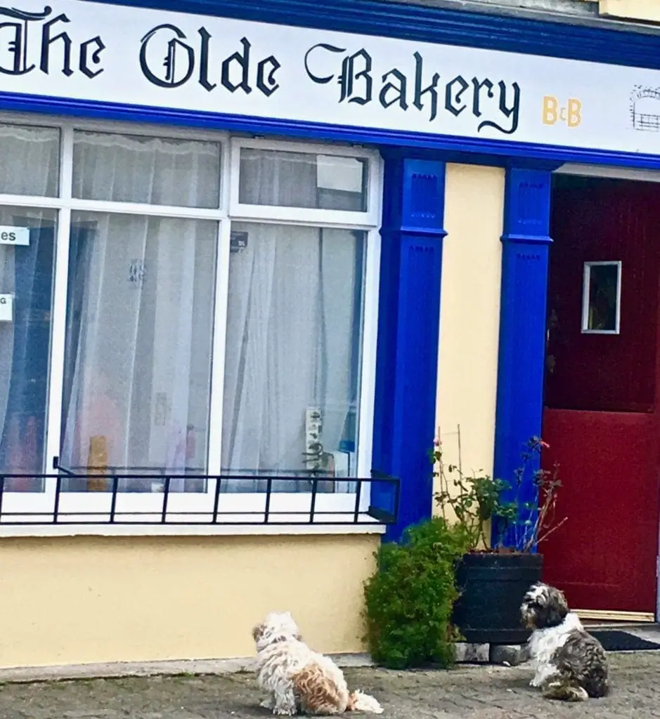 Kinsale puppy dogs bakery theroadtaken2