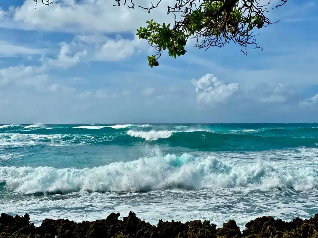 North shore turtle bay oahu travel guide