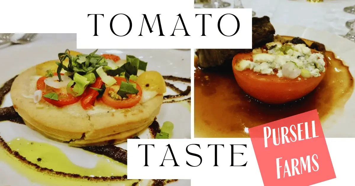 Tomato taste pursell farms event chef joe truex
