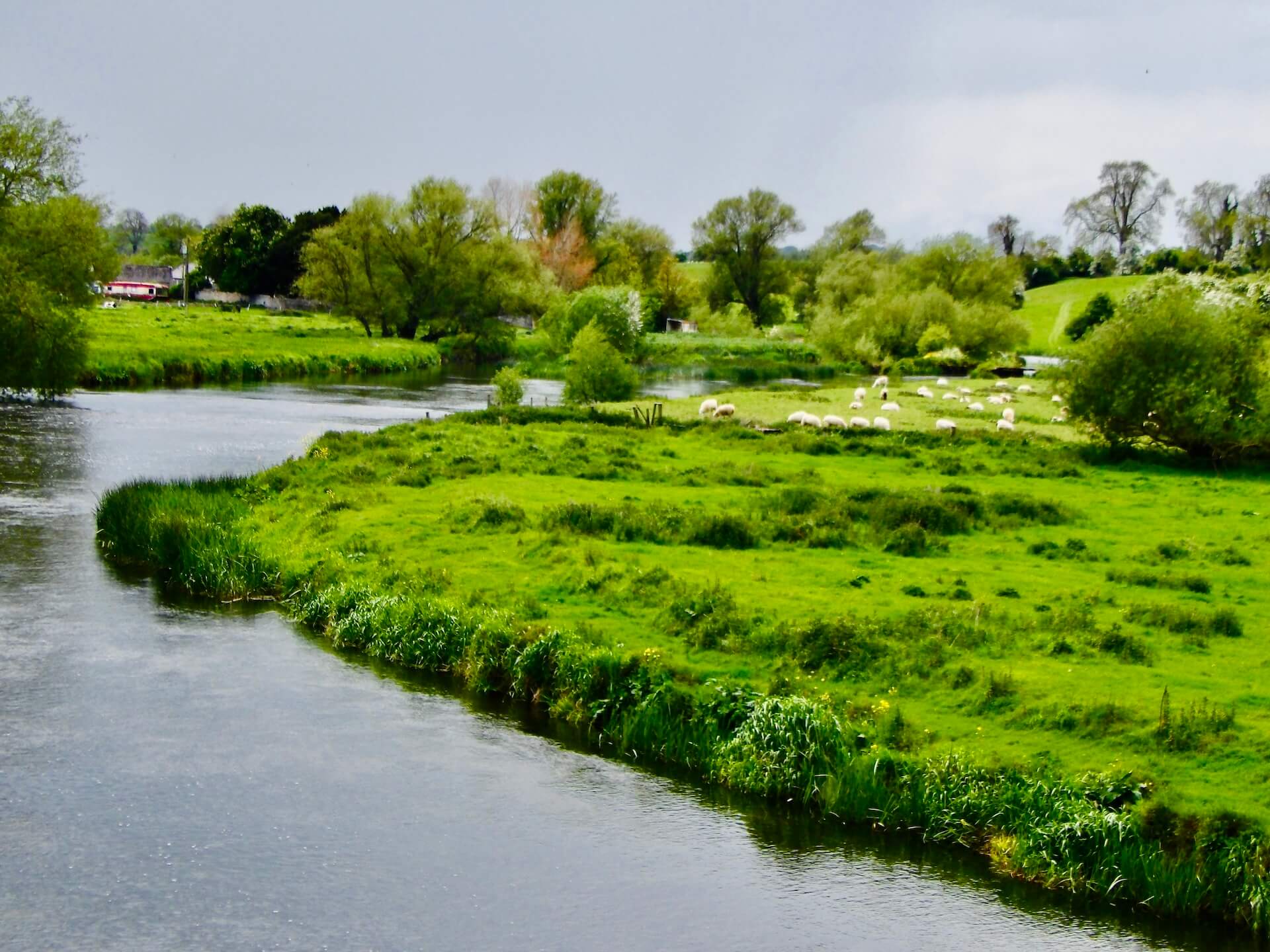 Newgrange sheep county meath river